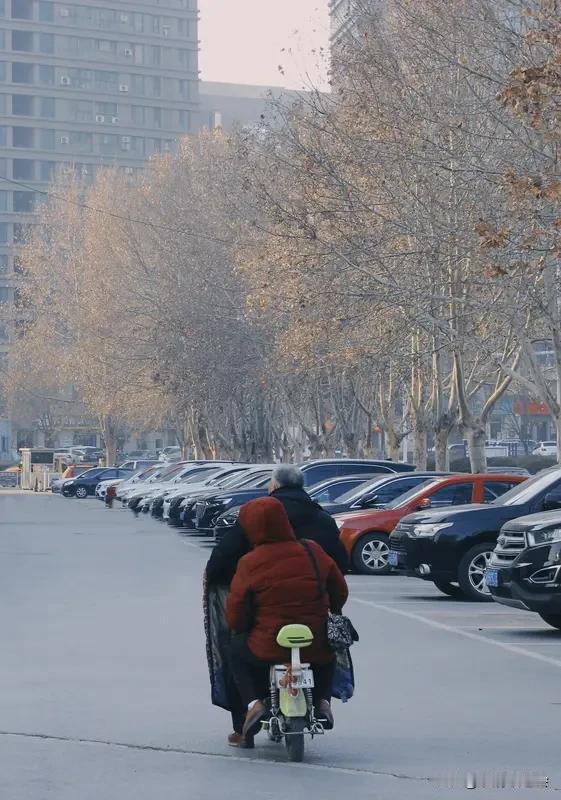 偶遇的冬日温暖一幕 冬日总能在不经意间邂逅温暖。济南市民丁女士登山时，就碰到暖心