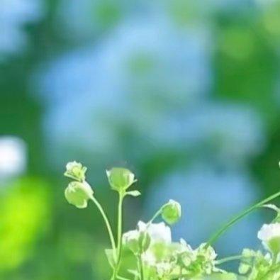 日行一善 生活就是这样，别人只看结果，自己独撑过程，面对生活，我们除了坚强，就是