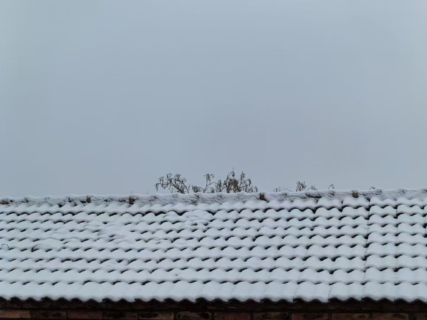 北京的雪 早上好呀老铁们，今年的第一场雪终于是来了，准备起床去扫雪了。你们那边都
