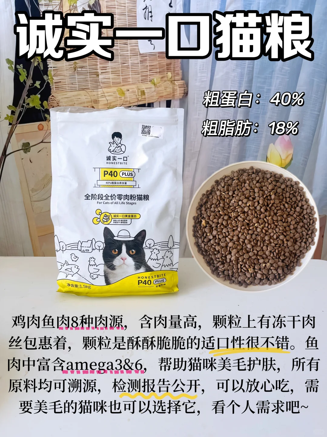 四款猫粮喂养分享！膨化粮到底怎么样？