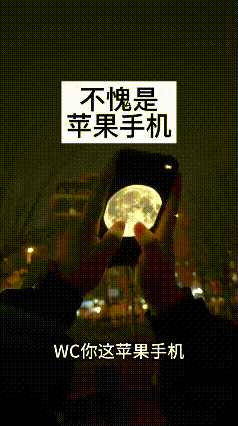 外国人理解不了的浪漫，
你说拍月亮就拍月亮吧，
你放个视频算是什么事？
[捂脸]