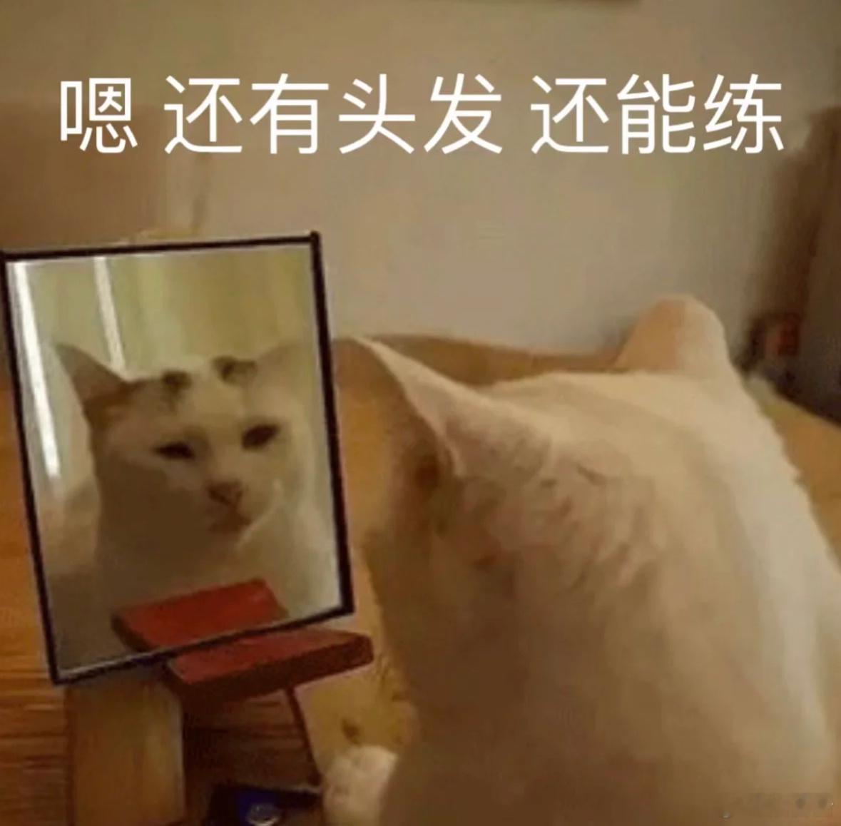 沈星回还有这作用 救命！现在健身都卷出 “排面感” 了！打开运动直播的弹幕，满屏
