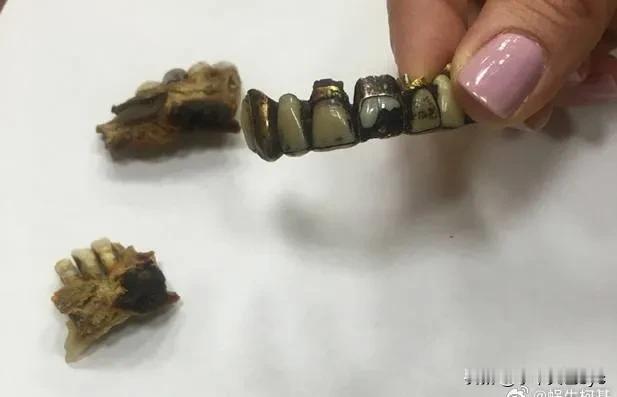 希特勒怎么死的？解密文件最终确定
伟大的卫国战争胜利80周年之际，俄罗斯解密希特