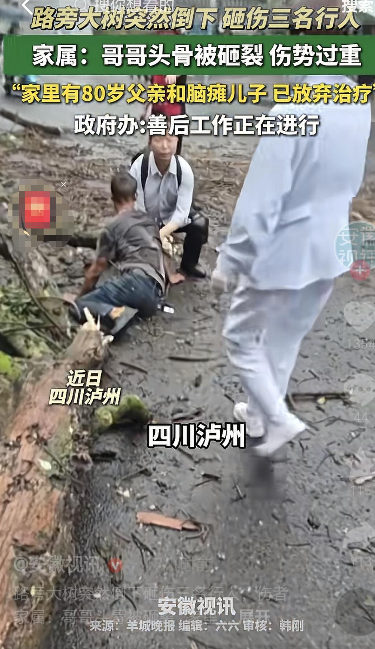 四川泸州，一51岁男子出门去医院看风湿病，没想到他被路边的一棵大树砸成重伤，另外