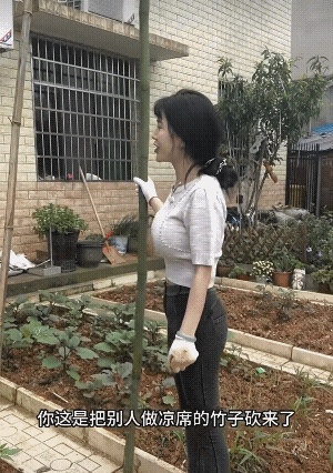 又到了种菜的季节了，回老家帮忙搭竹棚也是快乐的一件事!