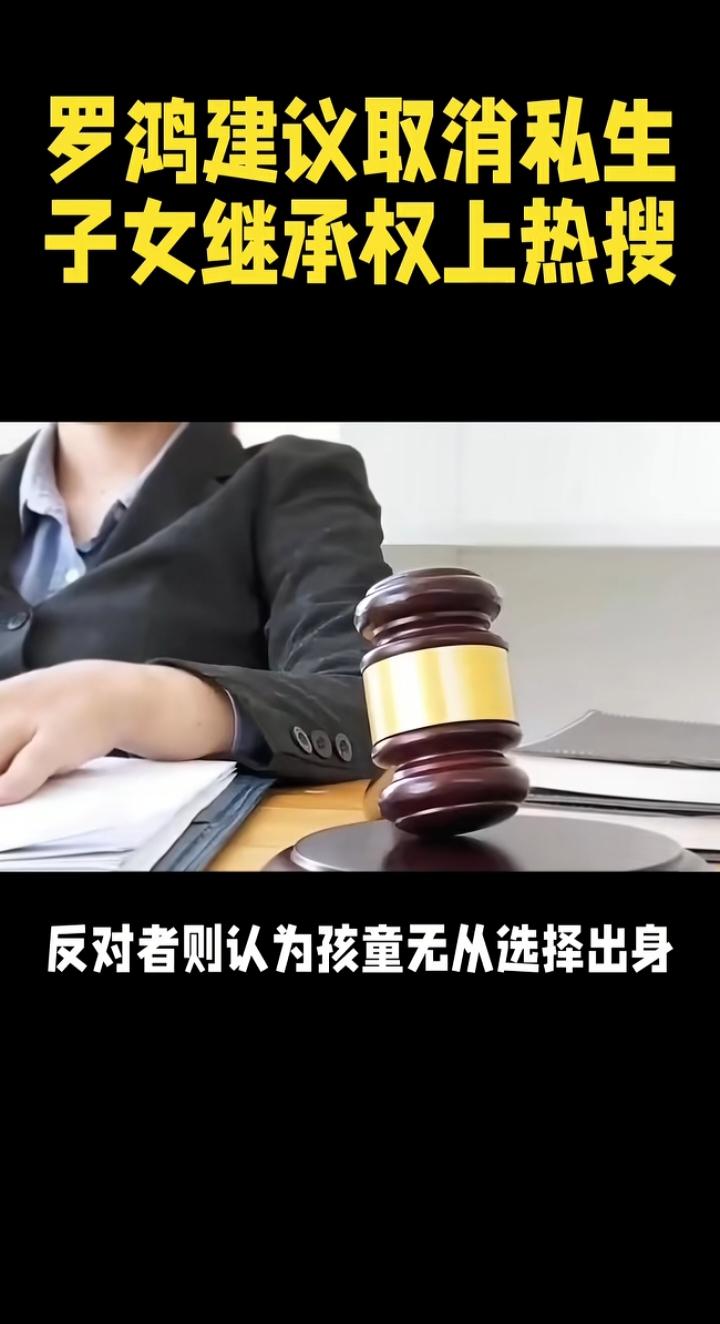 罗鸿建议取消私生子女继承权：撕开婚姻忠诚与财产公平的遮羞布
 
“建议修订民法典