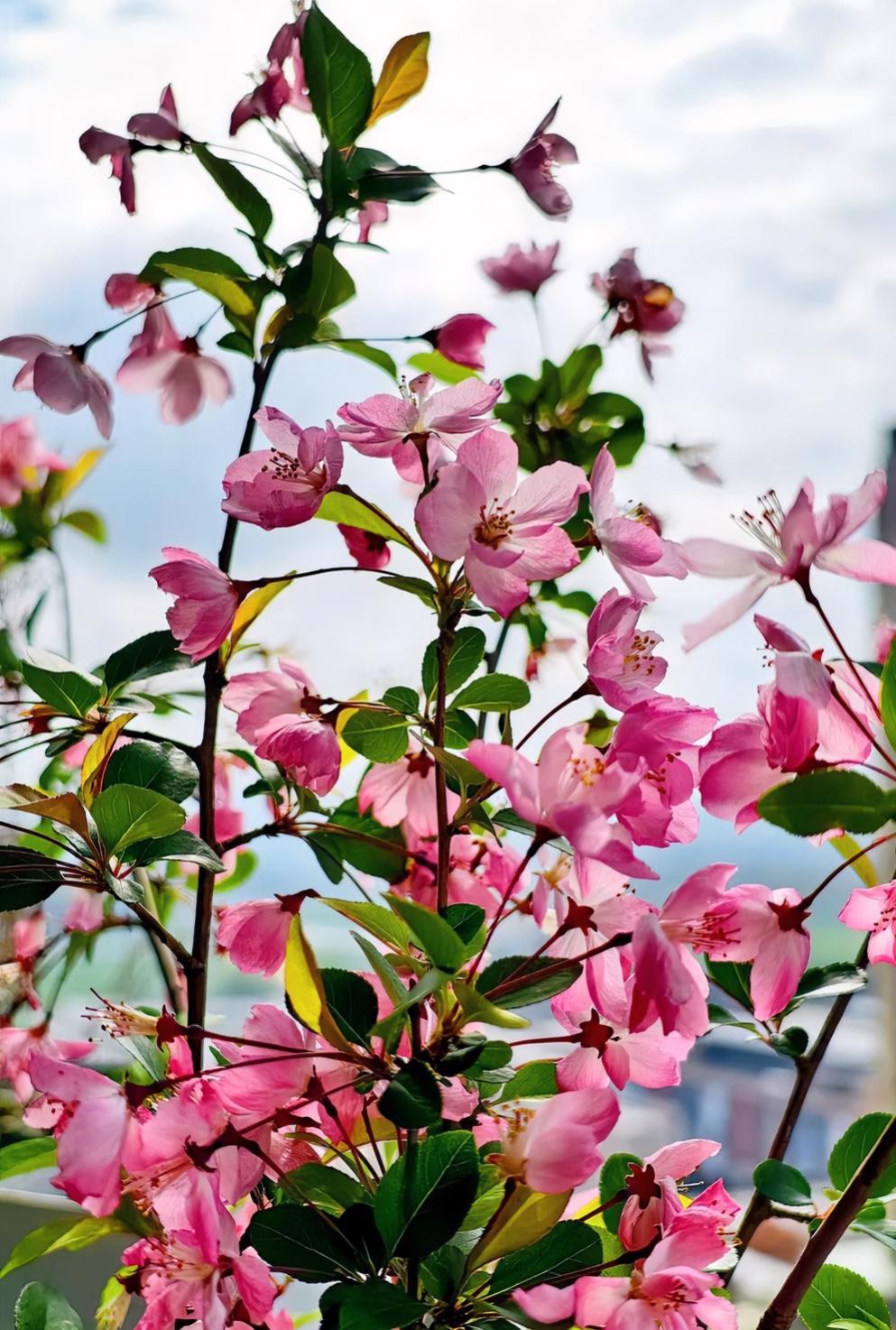 一位北大教授令人醍醐灌顶的话：
父母一定要告诉孩子的十句话，一生受益。

其实很