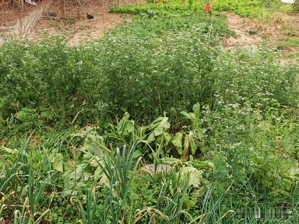 晒图笔记大赛春天的气息