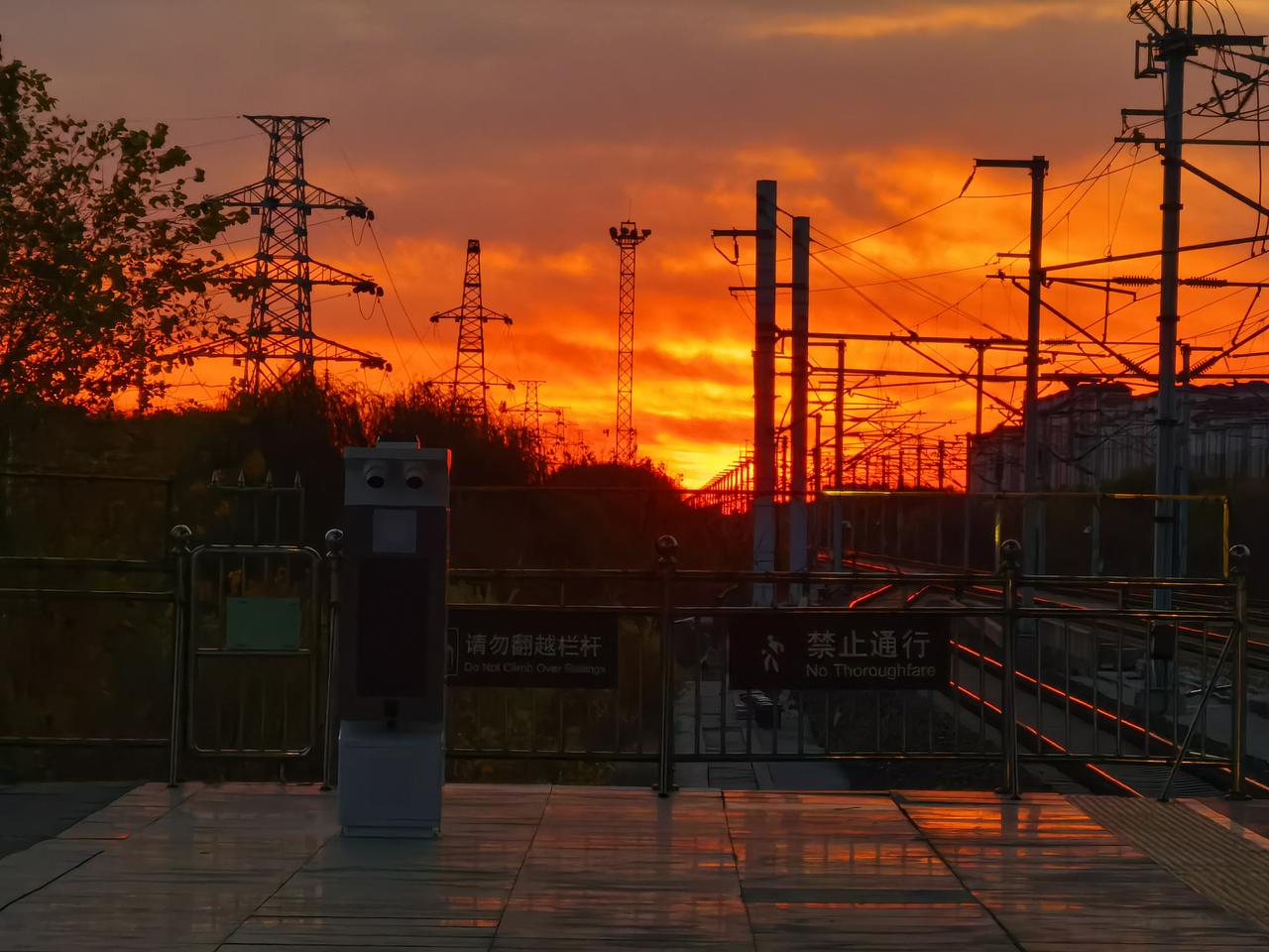 分享一张你最近相册里治愈的随手拍