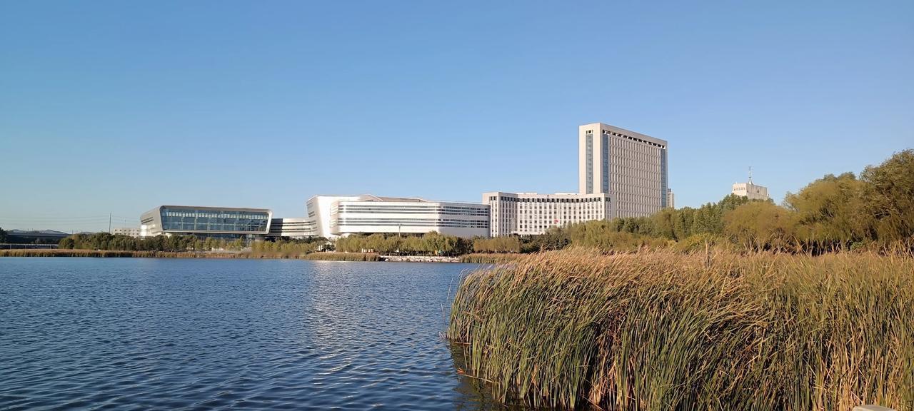 赞同你的做法，钱放在卡里看着，就是一个数字。你果断出手为女儿购房，让女儿在大上海