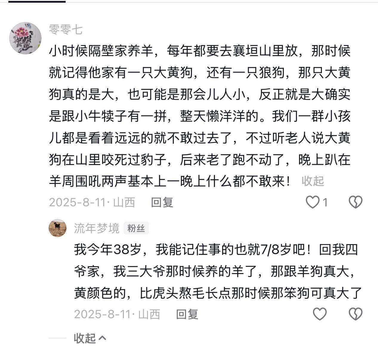 这条山西地区的大笨狗真的很威猛，咬死过豹子。如果这个故事是真的，那头豹子应该是亚