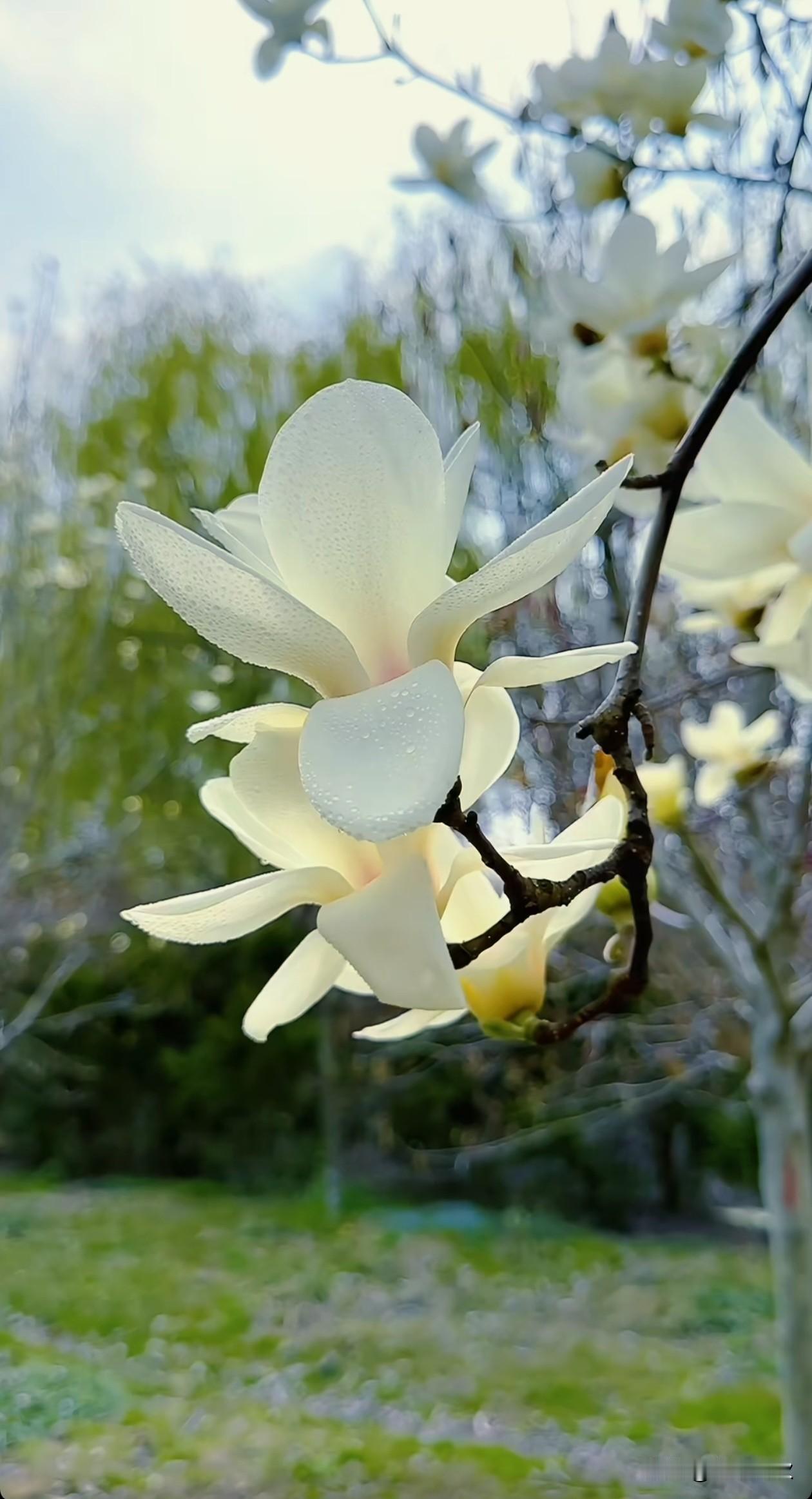 雨生逢百谷，万物逢时，春欲远，夏将至。