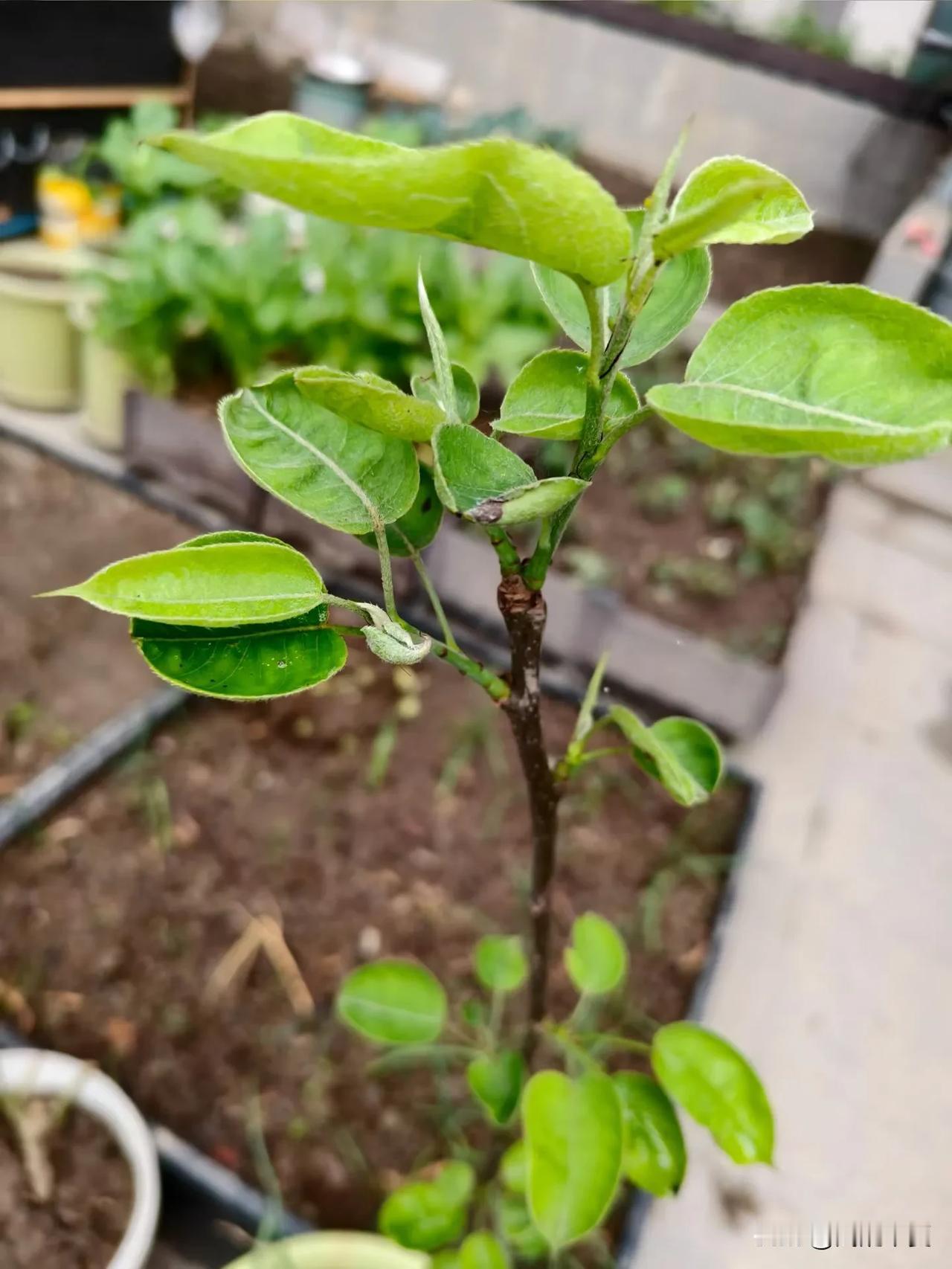 男人爱不爱你，这3个细节就能看出，装都装不出来
 
真正的爱，从来都不是挂在嘴上