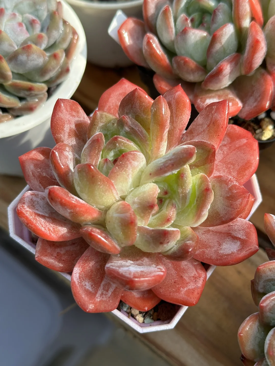 好看好看
