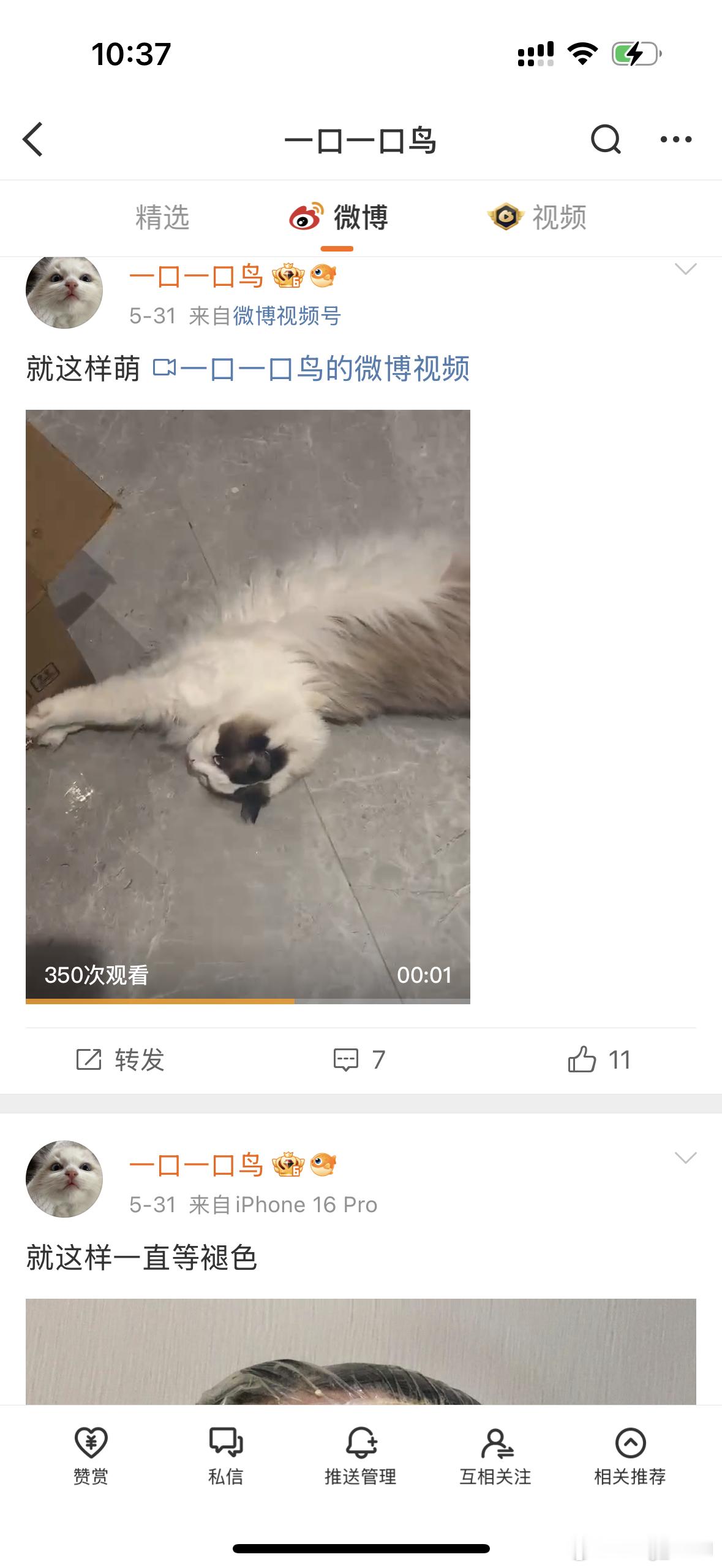 这个一口尿就这一一直一直模仿我！ ​​​