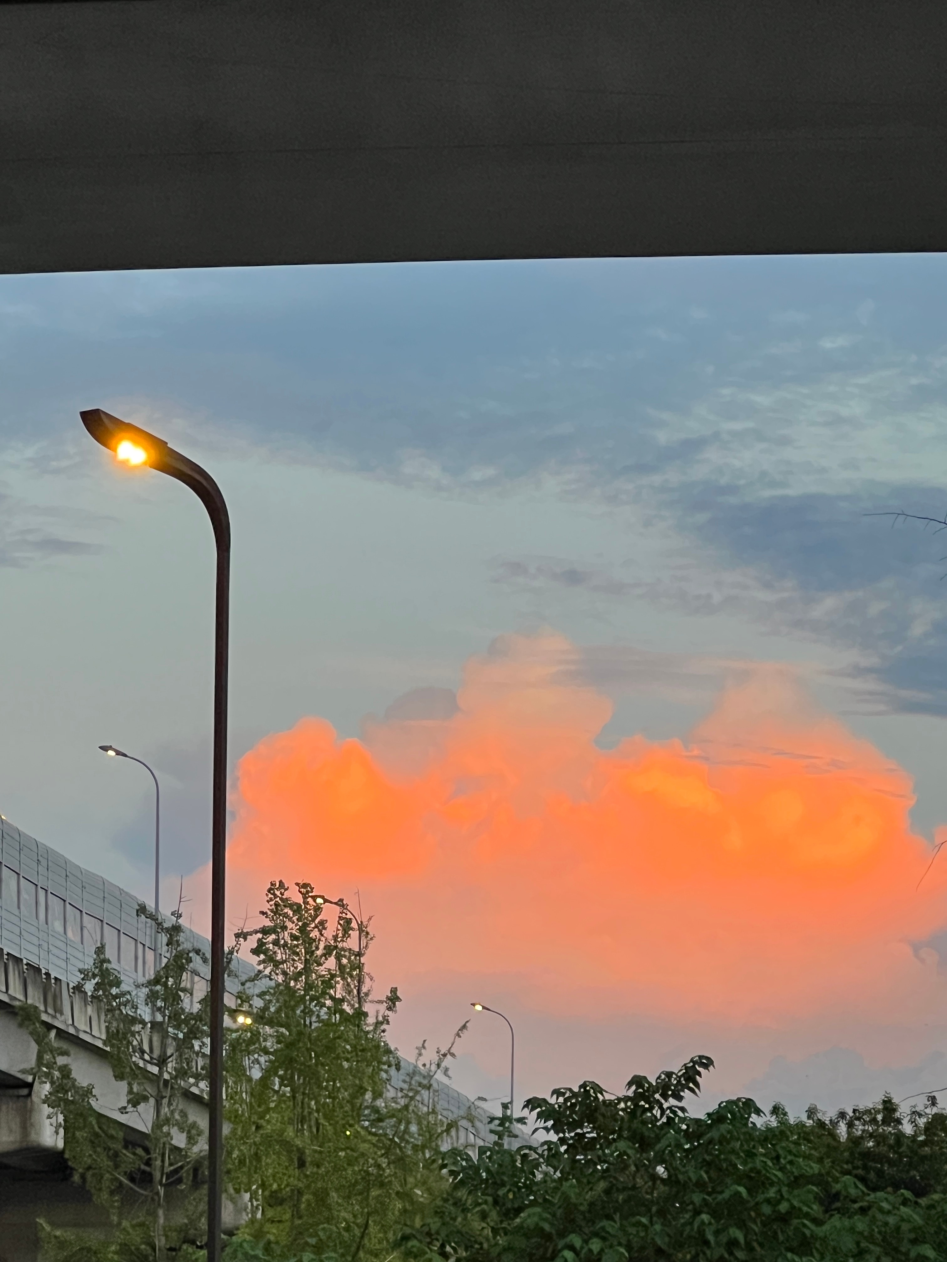 成都人民的☁️☀️向云端 ​​​