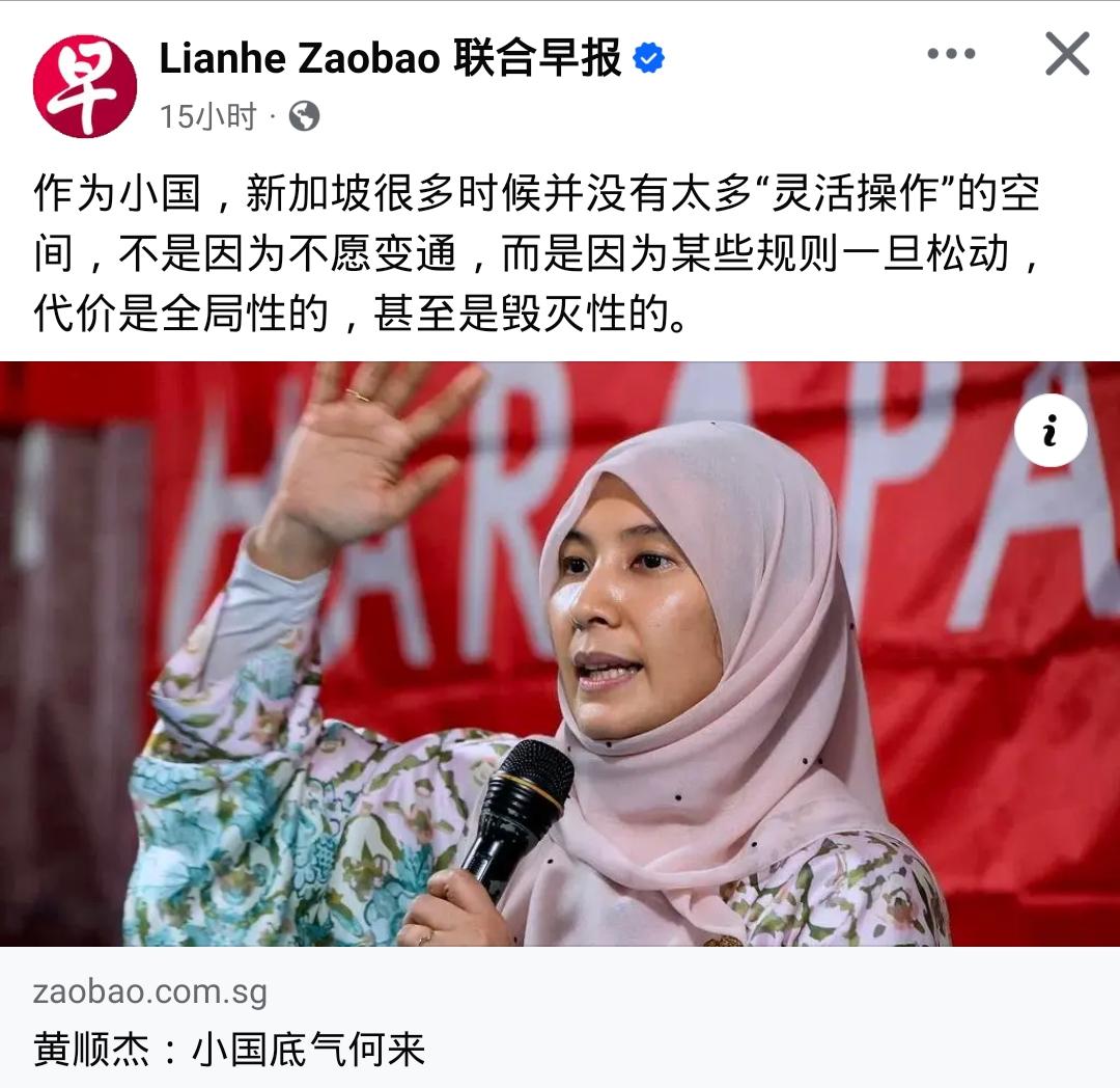 安瓦尔的女儿惹了马蜂窝了！

马来西亚的努鲁·依莎，这回捅了新加坡的“马蜂窝”。