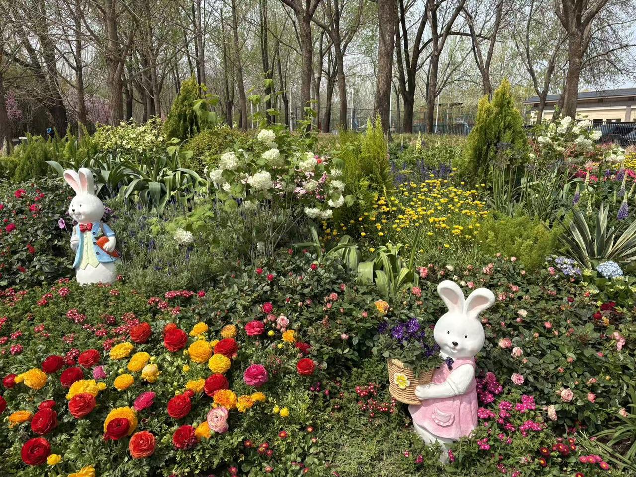 春日生活打卡季春天的故事很多，但大多都离不开花，美好时光，美丽风景，让人心旷神怡