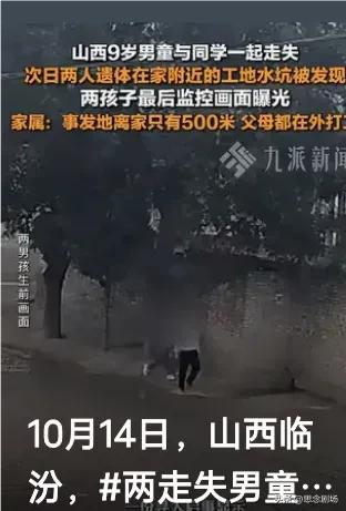 震惊！两孩失踪一天后，警方竟在荒废工地水坑发现无生命体征！孩子为何会身陷险境？安