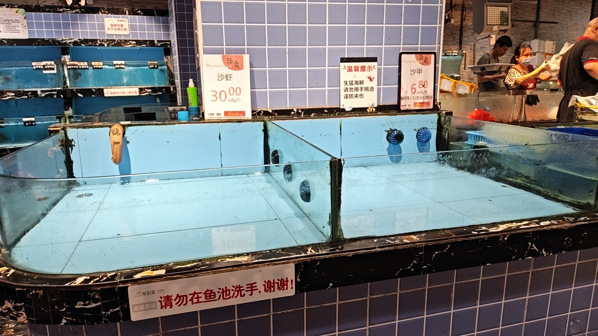 大家是没吃过虾🦐嘛 怎么全部都被洗劫一空 