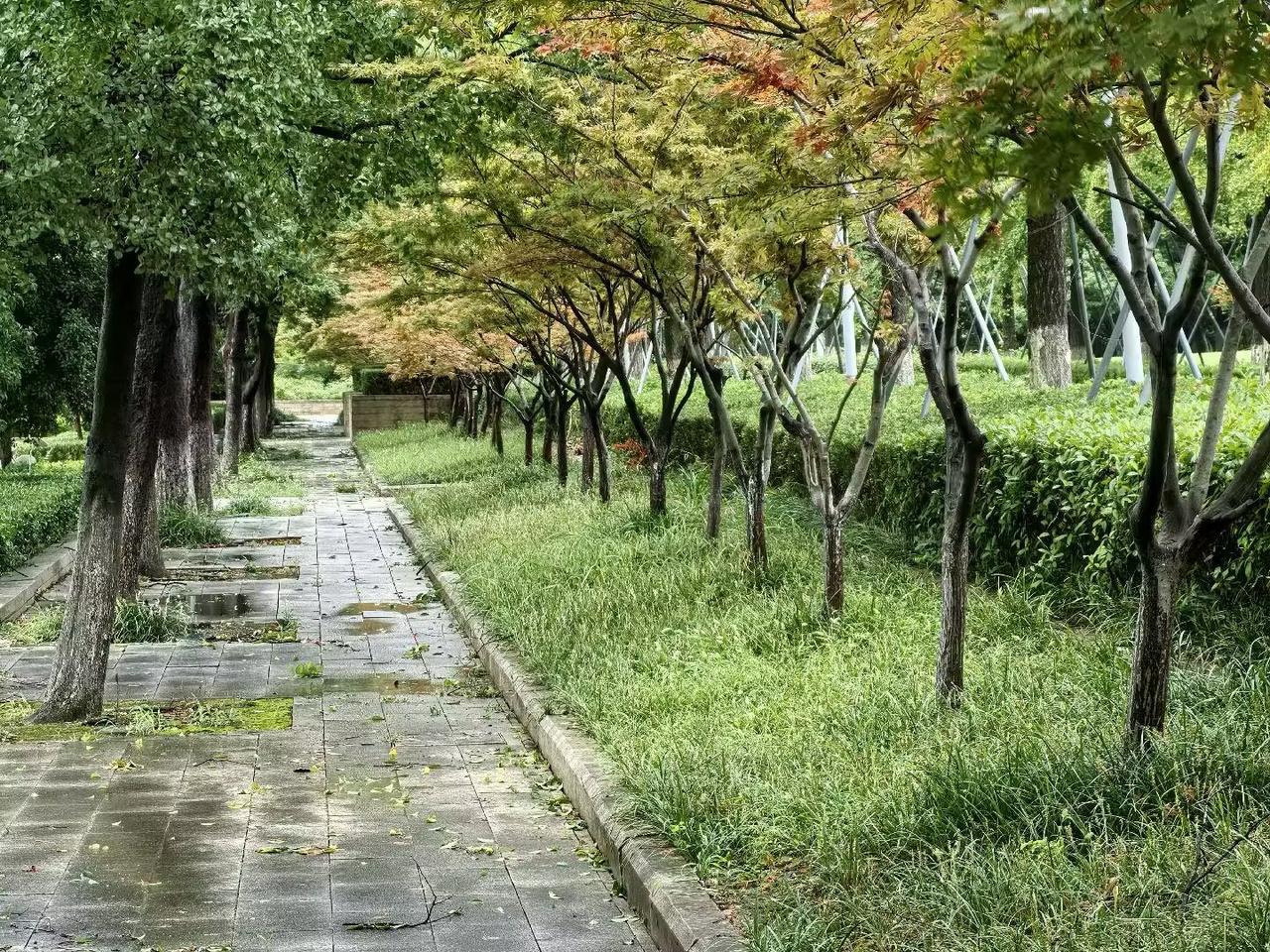 【心语点滴】
生活从来没有固定的标准答案，既能在鲜衣怒马的日子里繁花似锦，也能在