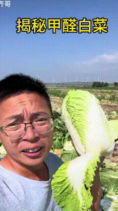 这几天，康保县的“甲醛白菜”上热门了。有人悄悄拍到收购商，悄悄的用甲醛给白菜保鲜