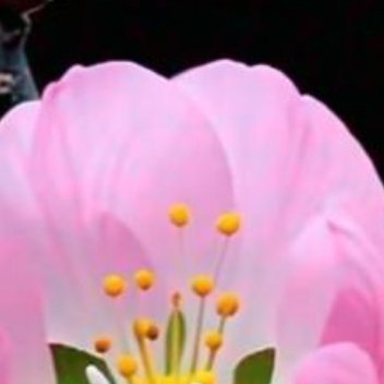 正能量当你熬过一个人的委屈与痛苦，熬过那段暗无人问津的日子，你会变得越来越坚强，