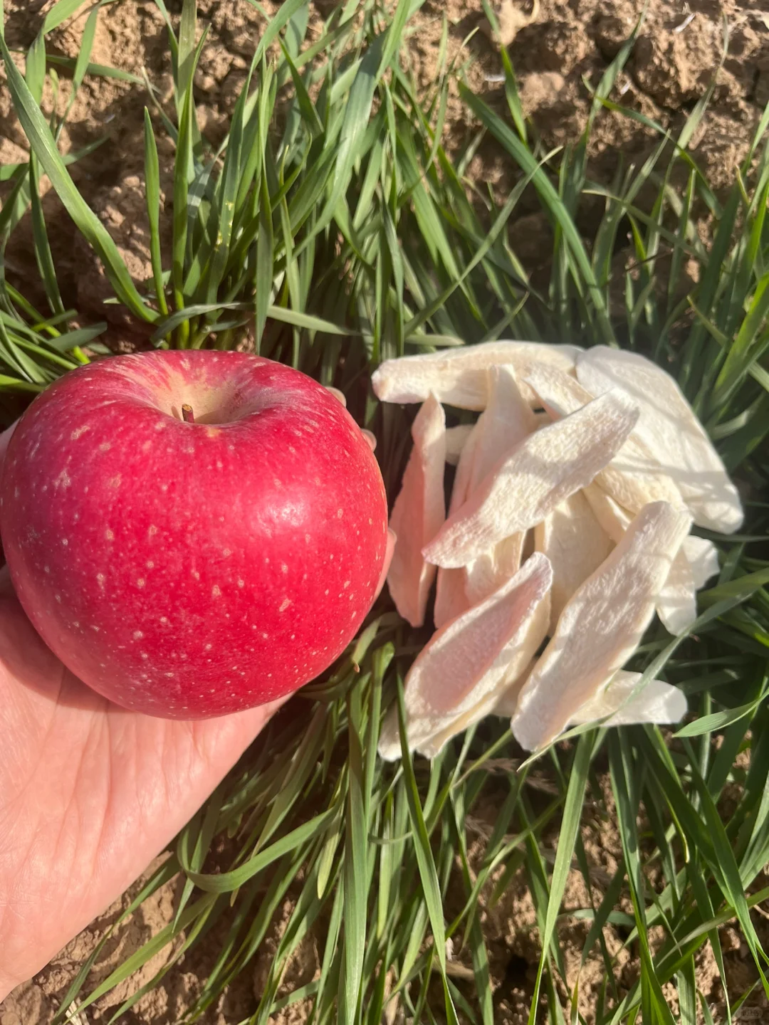 才煮了一周，孩子身体变化明显！