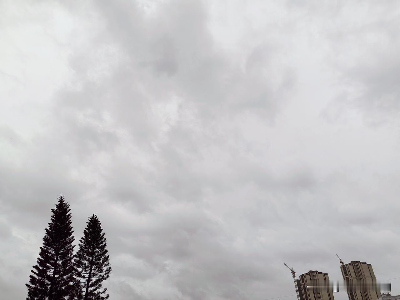 台风红霞登陆广东！给广东带来严重的风雨影响！

今年第12号台风“红霞”的中心已