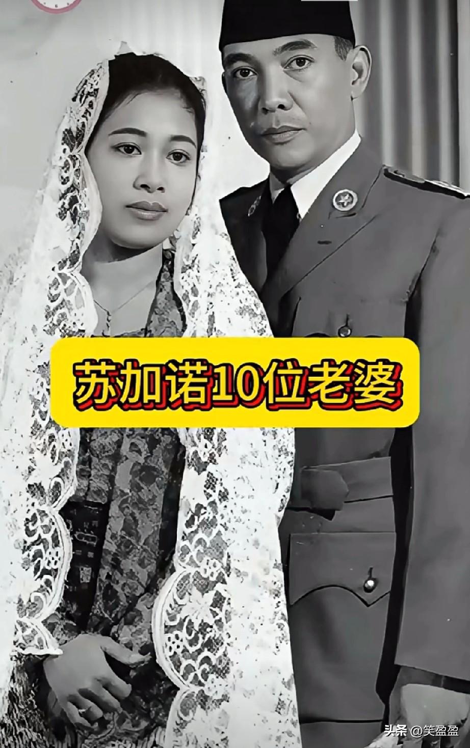 印尼国父苏加诺的十位妻子
真有实力[捂脸][赞]