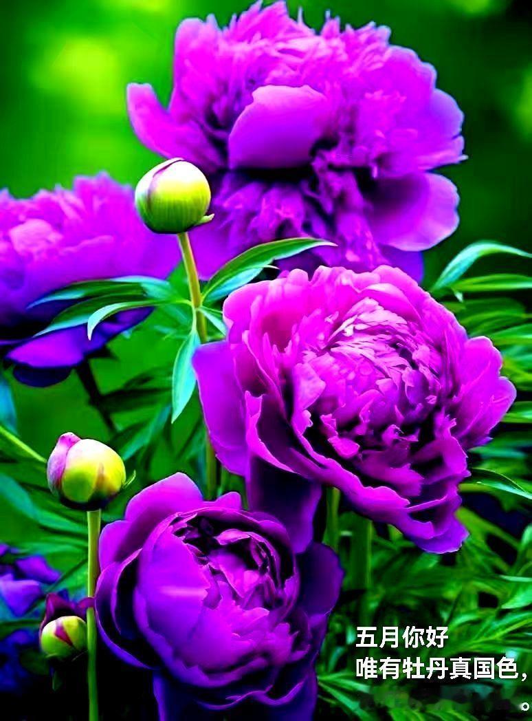 全世界只有中国特有的社会病态，真让有着上下五千年文明国家蒙羞。如今打着性骚扰、强