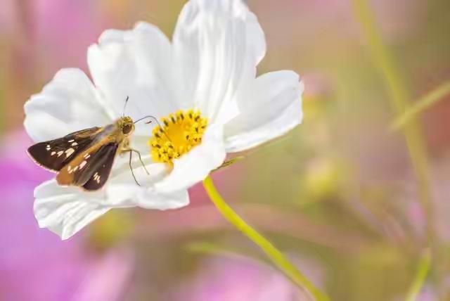 人到晚年才明白：
跟子女相处的“相处小窍门”，
就这6条，记下来准没错，
晚年舒