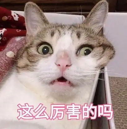 哈兰德梅开二度 这是什么顶级终结能力！连续两场世界杯比赛双双梅开二度，短短两场狂