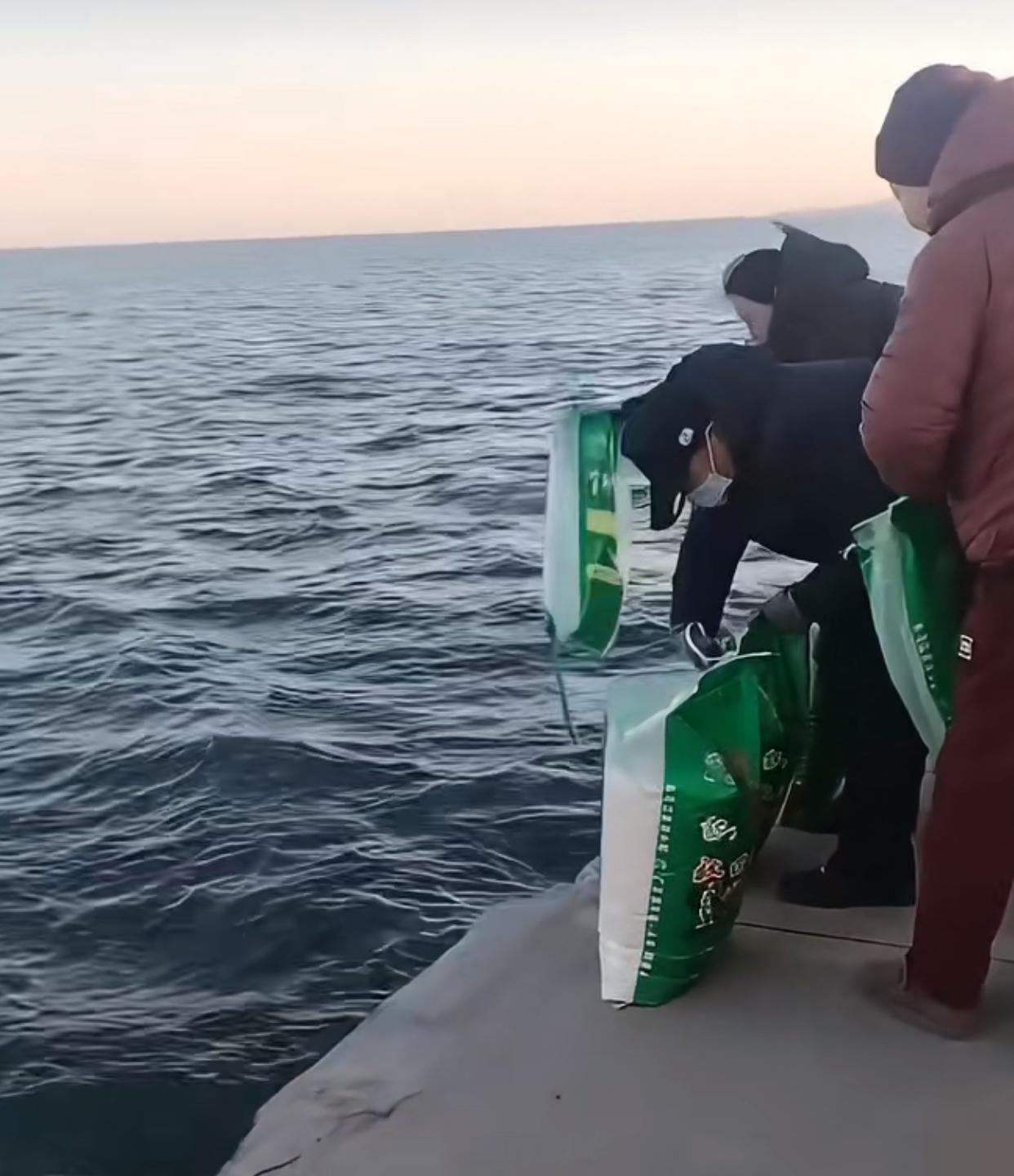 大米也能放生了？辽宁葫芦岛海边码头，几名老人将多袋大米倾倒入海…浪费粮食是罪孽