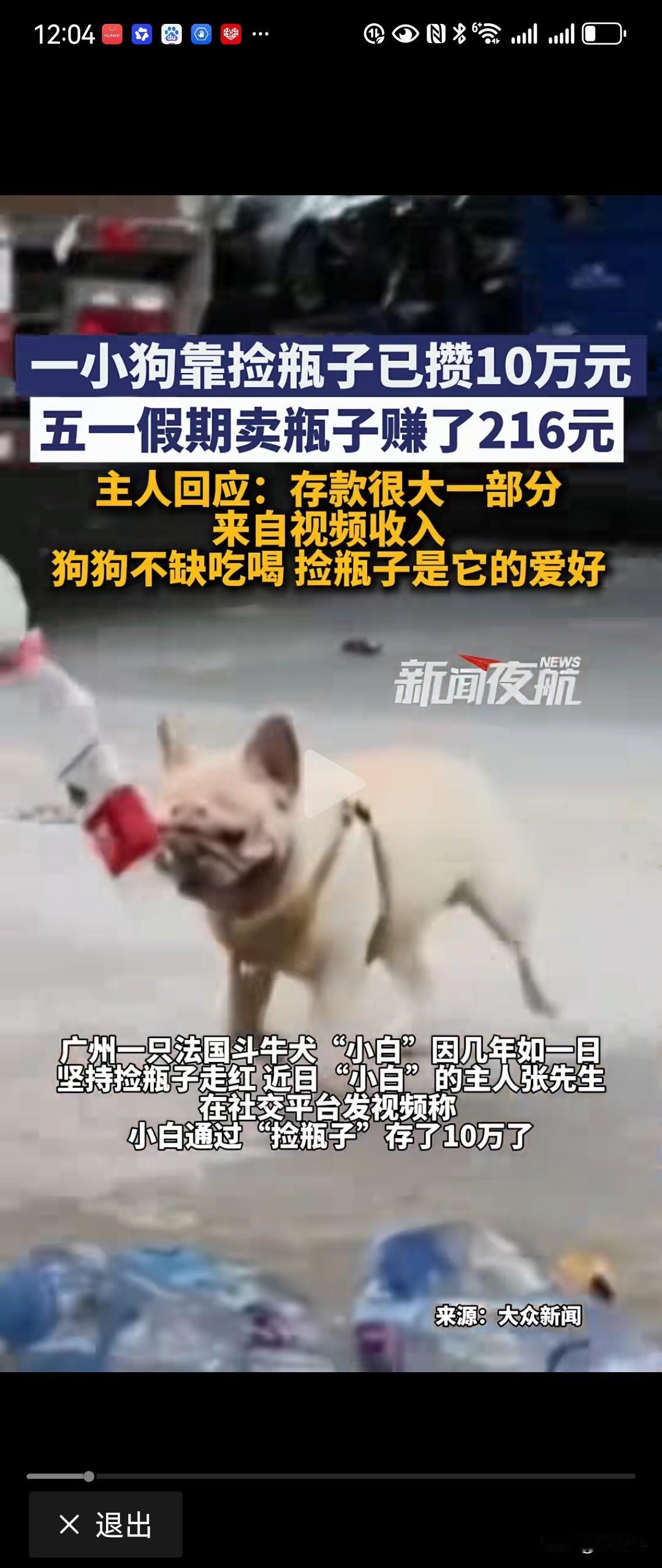 广州有只狗狗几年如一日，每天出去捡空瓶子卖钱。据主人说：他平时靠拍视频已经能够支