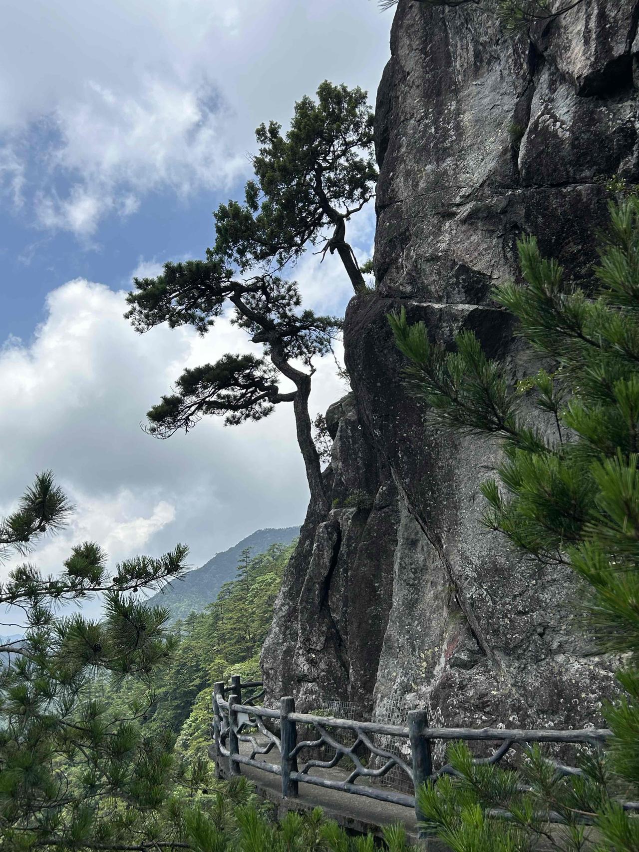 山上山下独一无二的山野美景尽数收于眼底，壮阔又治愈，这便是龙泉山独有的山水意境。