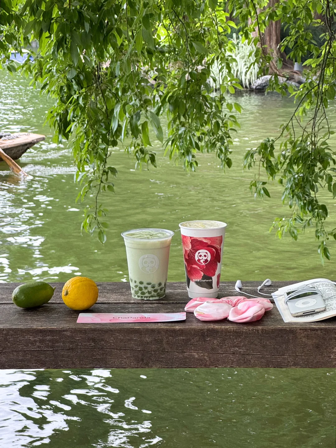 西湖边邂逅一杯山茶花