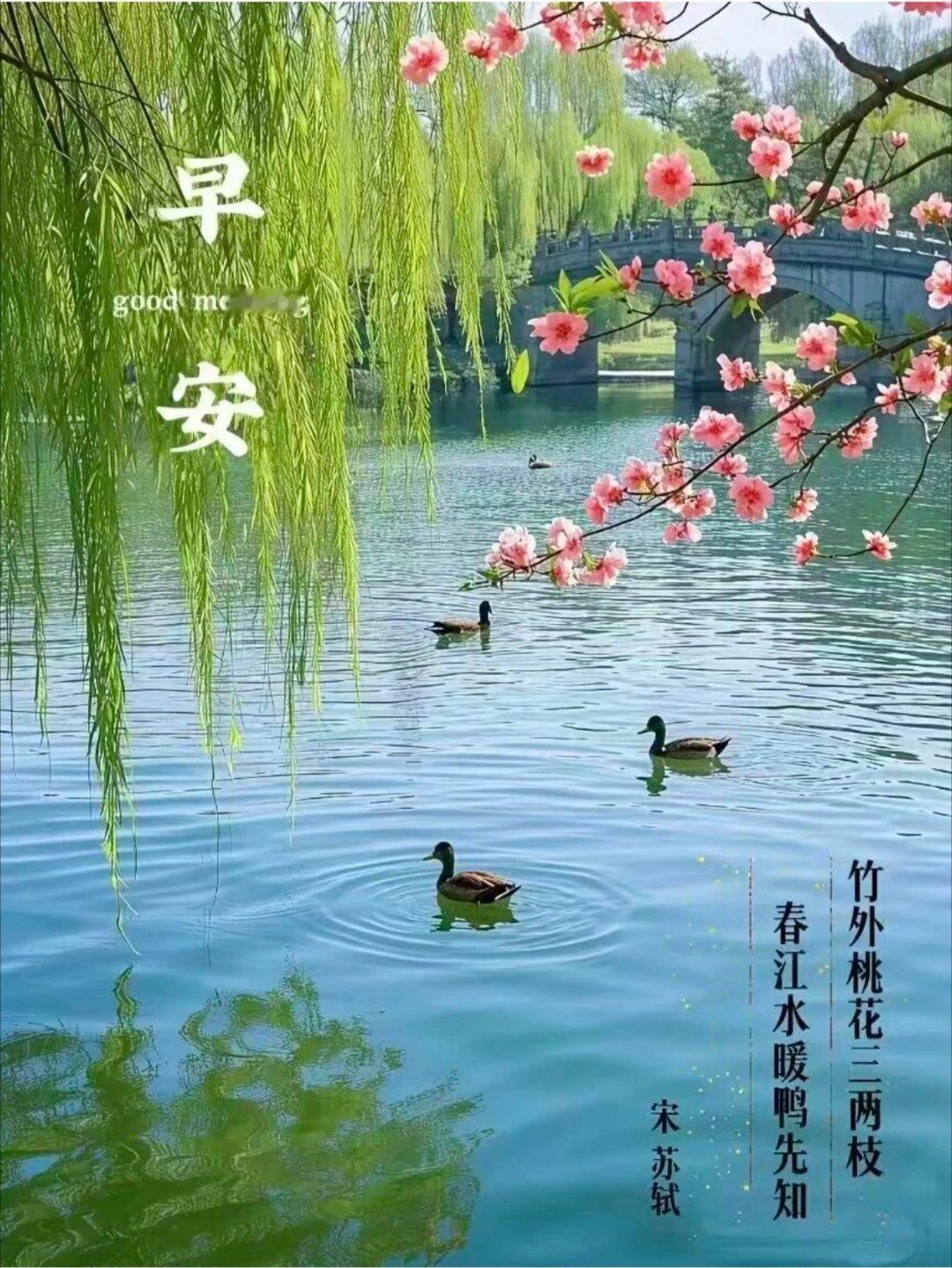 人这一生，风雨兼程，就是为了遇见更好的自己。不论顺流或是逆风，用心生活，用力向上