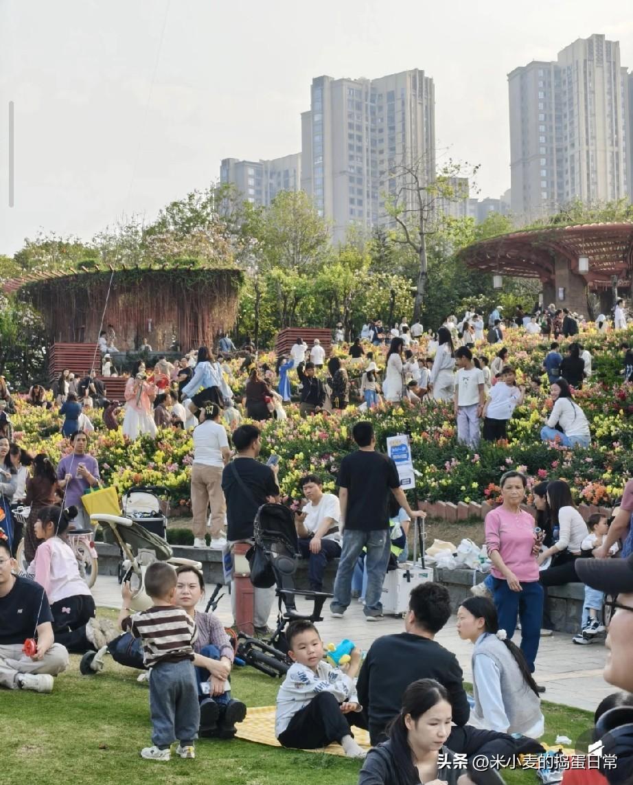 人比花多！这就是城里人的春天
 
周末去公园看花，一到现场我直接懵了。
 
花海