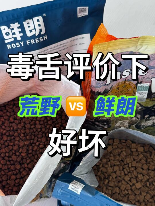 进口＆国产头部小型犬狗粮|泡水测试