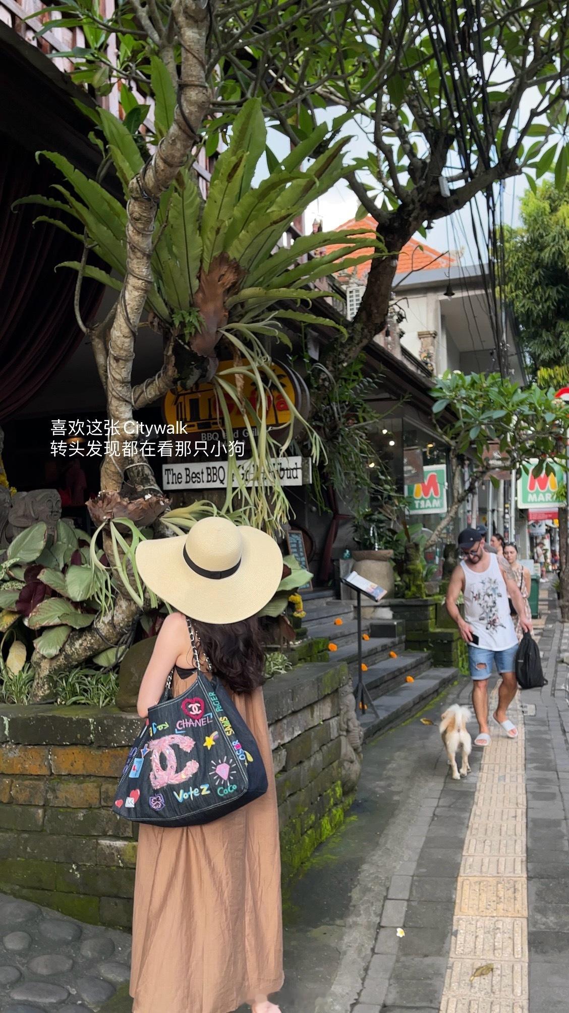 4.29 citywalk🍃🚶💧#plog# 乌布真的是自然能量聚集地  