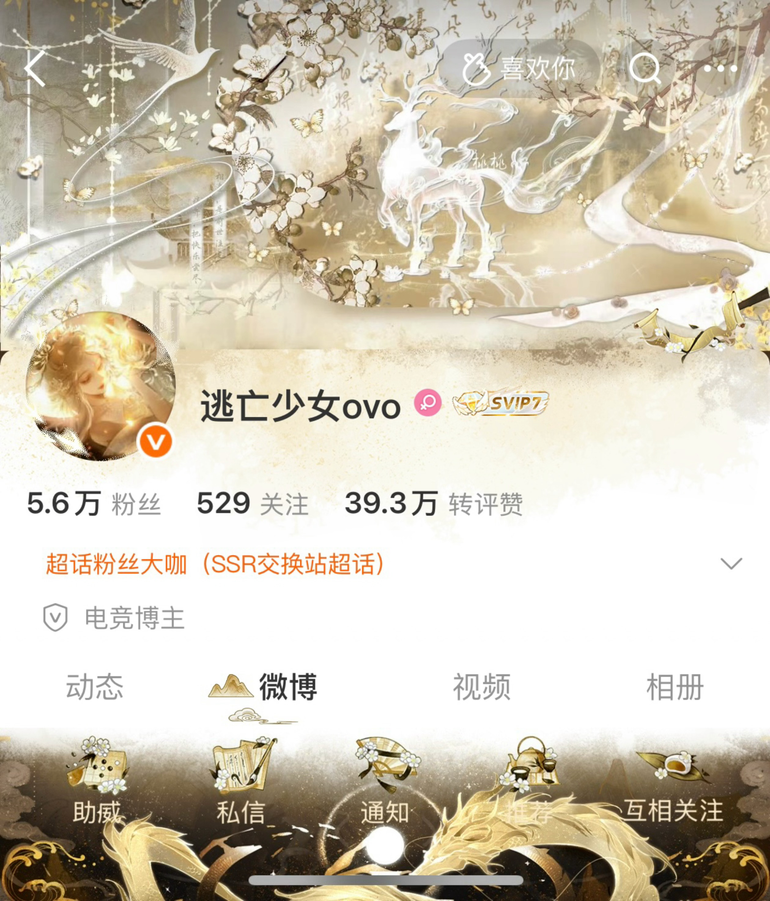 咱也古风一把 ​​​