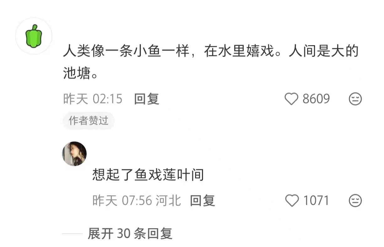 语言的画面感中文的美妙在于，两个字就能演完一场戏 ​​​