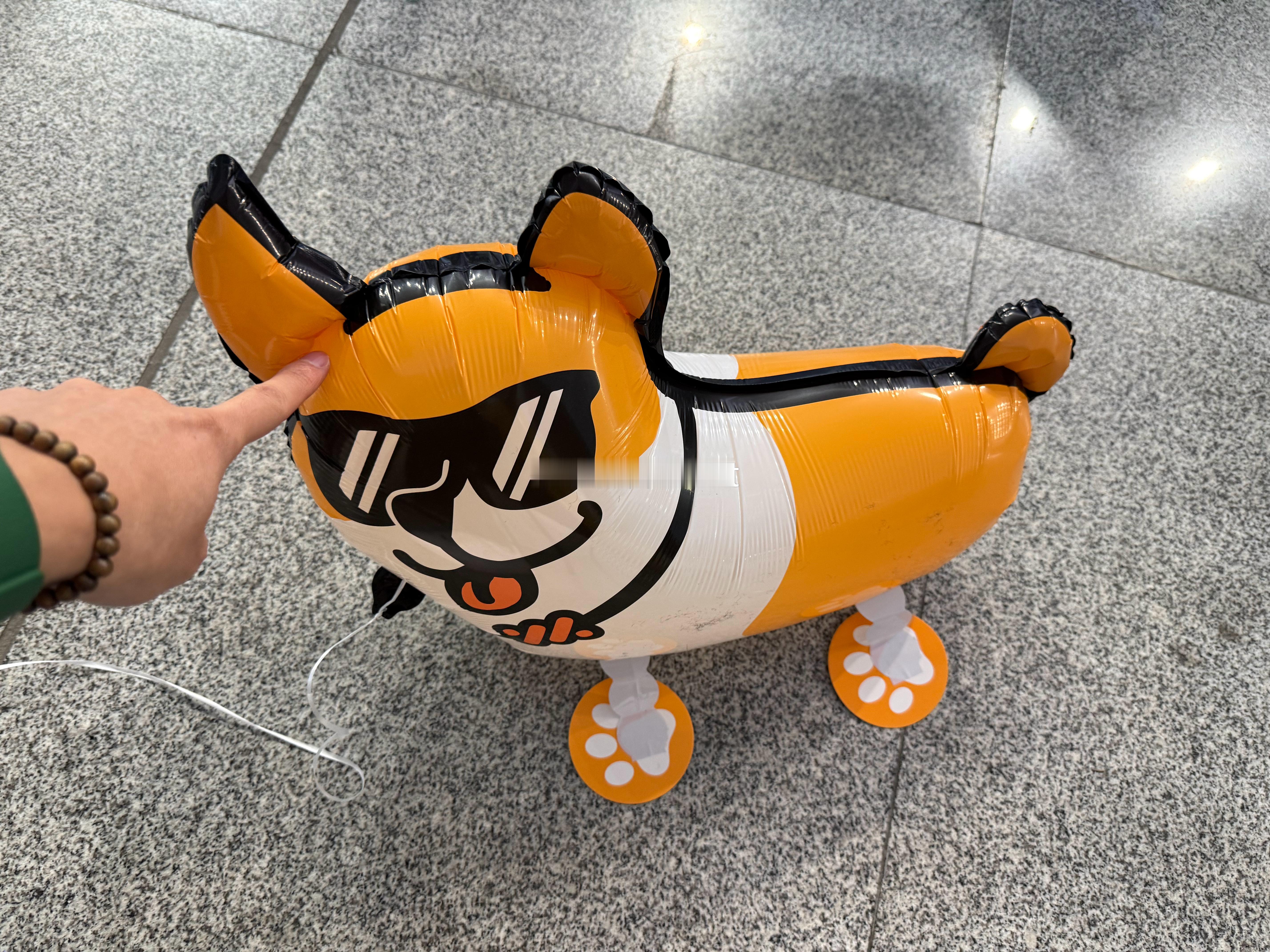 车展现场领了一只 ！带着一起逛车展！ 