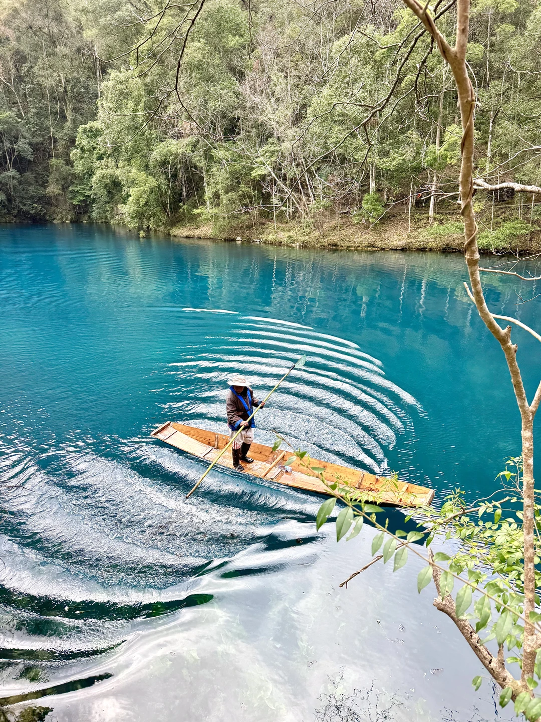 免票🎫荔波小七孔｜老人小孩不费腿路线攻略