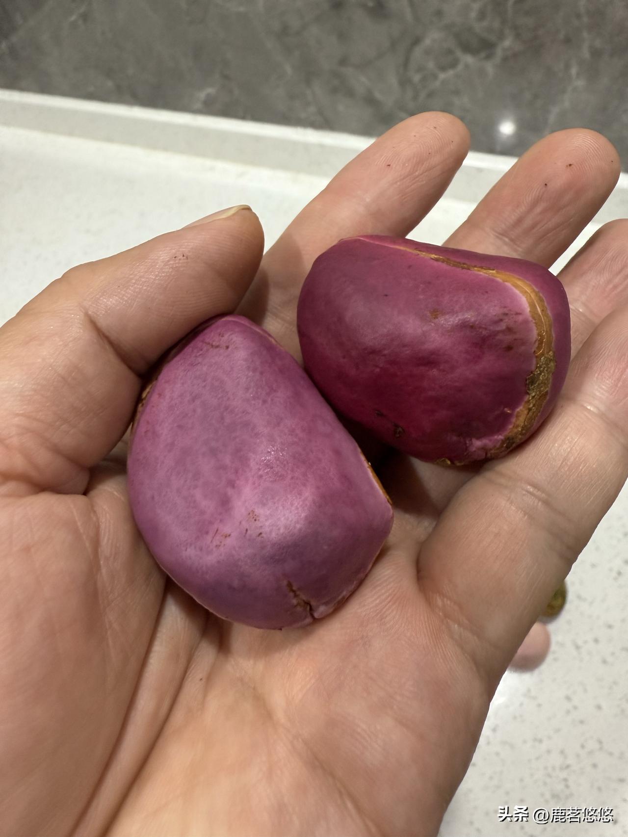 一荚里面也有不同的颜色，盲盒差不多开齐全了。是不是还有一个黑色？