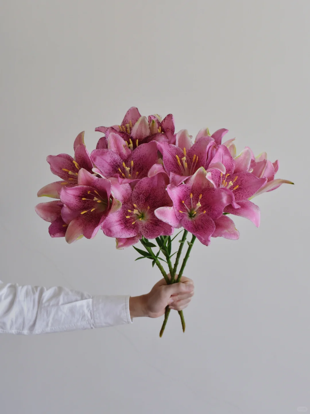 百合·甜蜜糖果