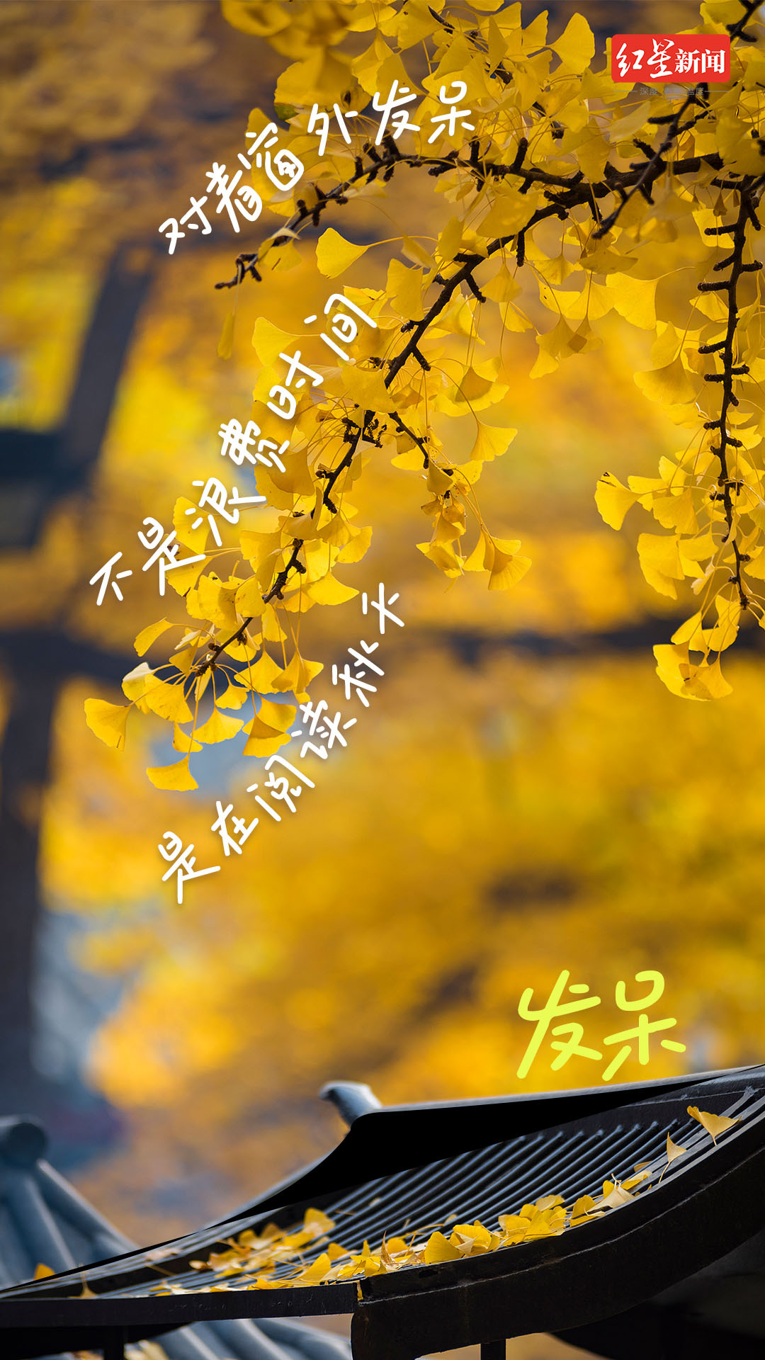 【#2025仅剩六分之一#】#秋天自带包容感# 秋有秋的温柔，贴秋膘、赖床...