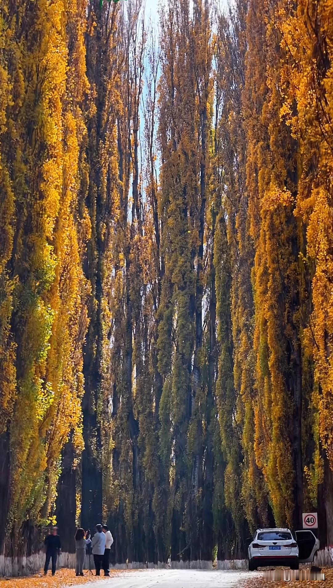 我发现写头条的一个规律。今天打开头条，发现头条给我发送了一个写作邀请，真的太让我