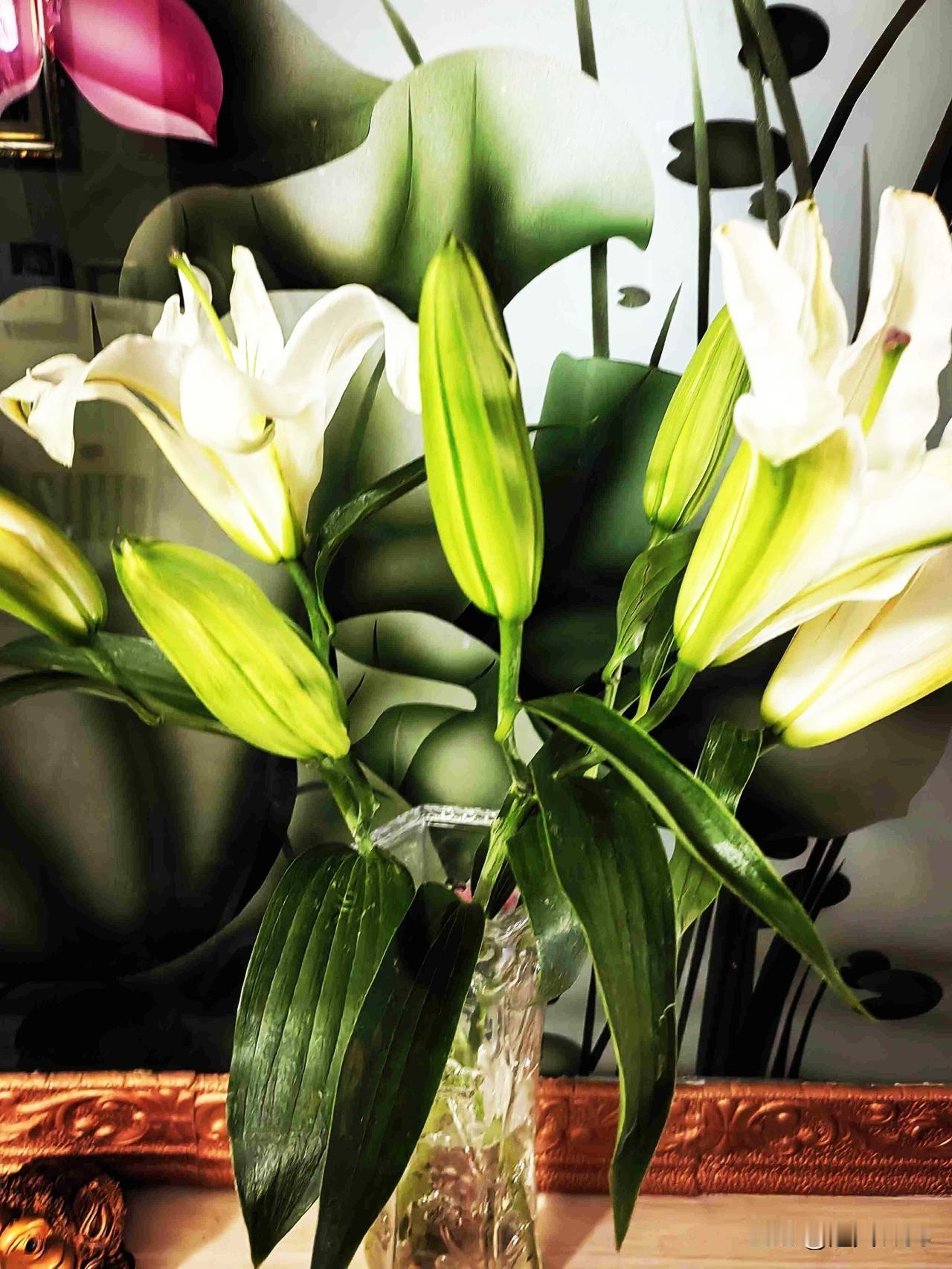 友们周末愉快！
女儿昨晚给买了百合花，这个冬日有点甜。

每天都要开开心的，
开